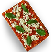 margerita pizza